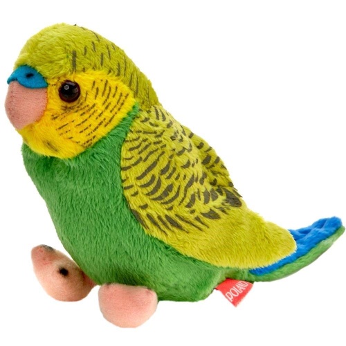 Papuga falista zielono-niebieska 13cm, Beppe