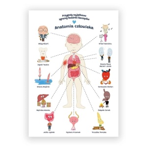 PLAKAT EDUKACYJNY. ANATOMIA CZŁOWIEK A2