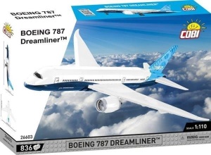 BOEING 787 DREAMLINER, COBI