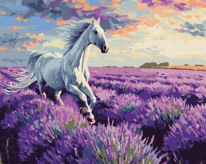 MALOWANIE PO NUMERACH - W LAWENDOWYCH POLACH 40X50