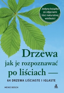 DRZEWA - JAK JE ROZPOZNAWAĆ PO LIŚCIACH