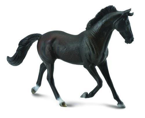 Klacz thooroughbred maści czarnej, Collecta