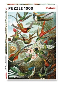 PUZZLE 1000 - HAECKEL, KOLIBRY PIATNIK, PIATNIK