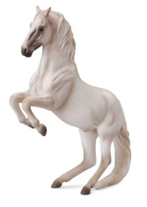 KOŃ OGIER LIPZZANNER, COLLECTA