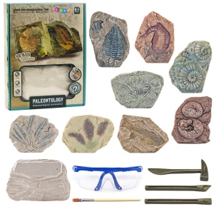 ZESTAW PALEONTOLOGICZNY WYKOPALISKA NARZDZIA