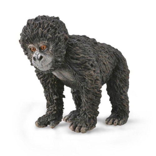 Młode goryla górskiego, Collecta