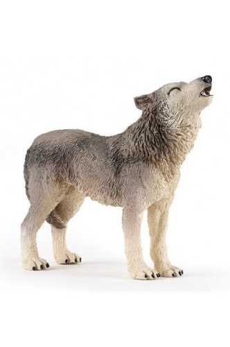 Leśny wilk wyjący, Collecta