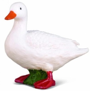 KACZKA BIAŁA, COLLECTA