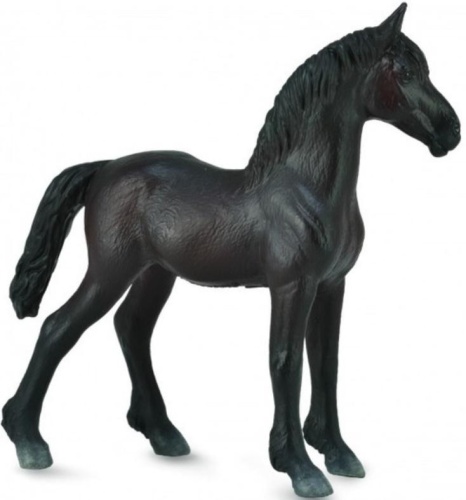 Źrebię Friesian Foal czarne, Collecta