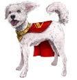 SUPERMAN FILM: INTERAKTYWNY KRYPTO, SPIN MASTER