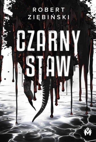 Czarny Staw, Robert Ziębiński