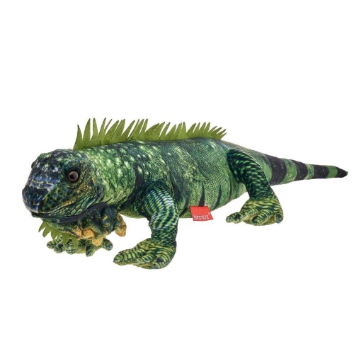 Iguana 72cm, Beppe