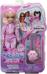 BARBIE DREAM BESTIES WEEKENDOWY WYJAZD + AKCESORIA