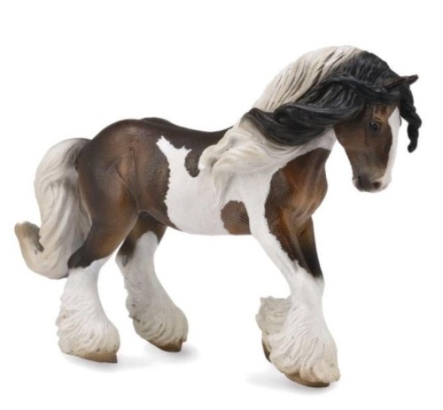 Ogier rasy Tinker łaciaty, Collecta
