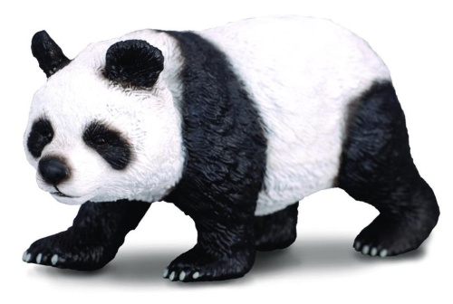 Panda wielka, Collecta