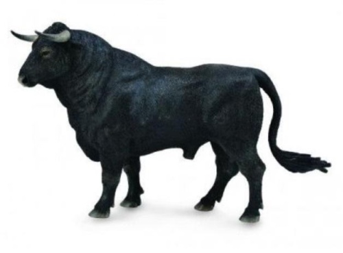 Byk hiszpański stojący, Collecta