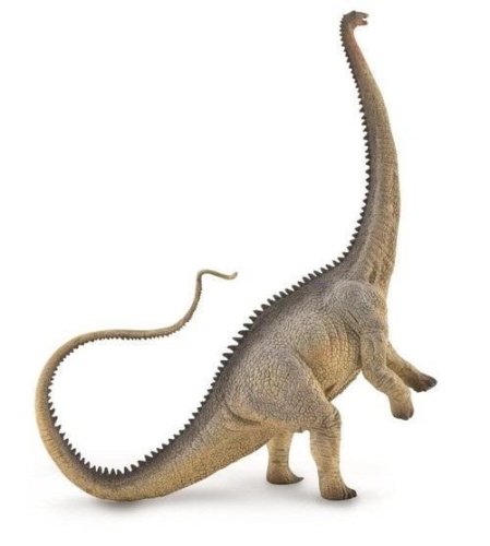 Dinozaur Diplodok, Collecta