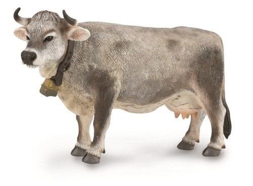Krowa tyrolska szara, Collecta