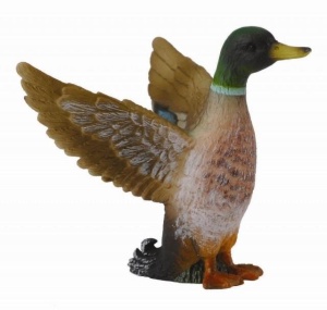 SAMIEC KACZKI KRZYŻÓWKI, COLLECTA