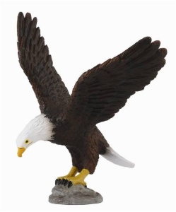 BIELIK AMERYKAŃSKI, COLLECTA