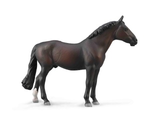 OGIER HOLSTEINER MAŚCI BAY, COLLECTA
