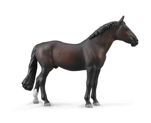 Ogier Holsteiner maści Bay, Collecta