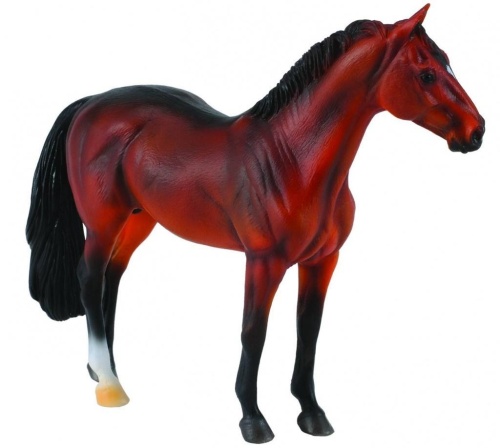 Ogier Hanowerski gniady, Collecta