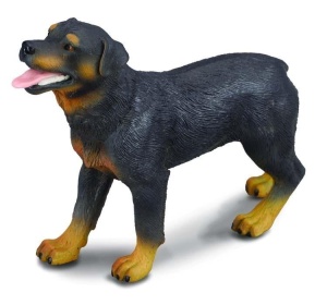 PIES ROTTWEILER, COLLECTA