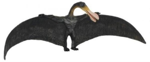 Dinozaur Ornitocheir, Collecta