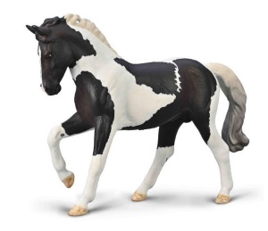 OGIER CIEPŁOKRWISTY CZARNY TOBIANO, COLLECTA