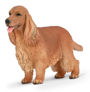 COCKER SPANIEL, COLLECTA