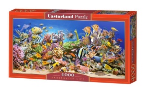 PUZZLE 4000 PODWODNE ŻYCIE CASTOR, CASTORLAND