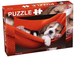 PUZZLE 56 SLEEPING PUPPY, TACTIC