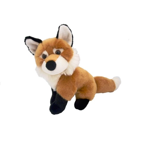 Lis pospolity 23cm, Beppe