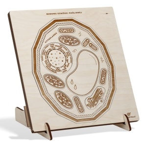 PUZZLE DREWNIANE BUDOWA KOMÓRKI ROŚLINNEJ