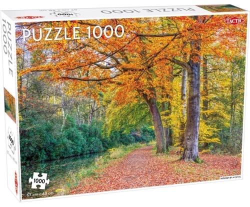 Puzzle 1000 Pathway by a canal, Tactic