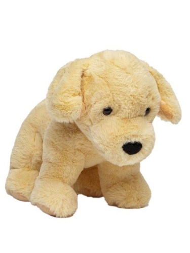 Pies Golden retriever 30 cm, Molli Toys