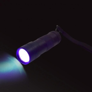 MAŁA LATARKA LED UV, PLAYLEARN