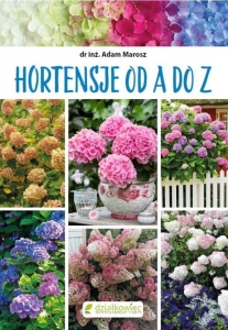 HORTENSJE OD A DO Z, ADAM MAROSZ