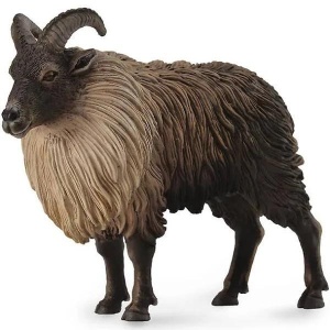 TAR HIMALAJSKI, COLLECTA