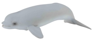 WIELORYB BELUGA MŁODE, COLLECTA