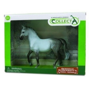 KOŃ ARABIAN MARE GREY, DANTE