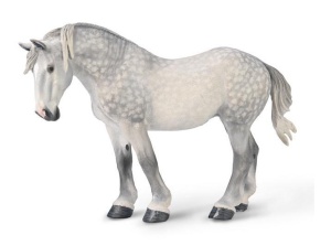KLACZ PERCHERON SIWA JABŁKOWITA, COLLECTA