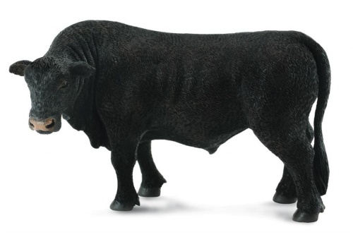 Byk czarny angus, Collecta