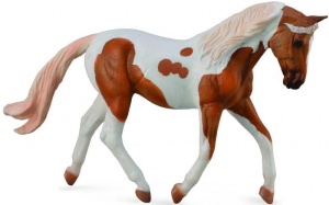 KOŃ PINTO MARE PALOMINO, COLLECTA