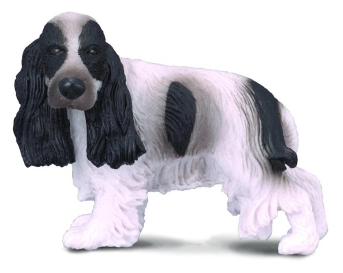 Pies cocker spaniel angielski, Collecta