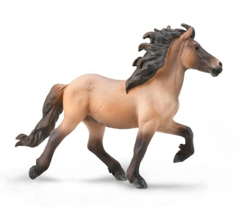 Icelandic Stallion Bay Dun, Collecta