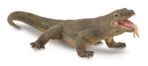 WARAN Z KOMODO, COLLECTA