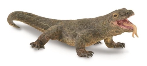 Waran z komodo, Collecta