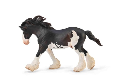 Ogier Clydesdale maści Black Sabino, Collecta